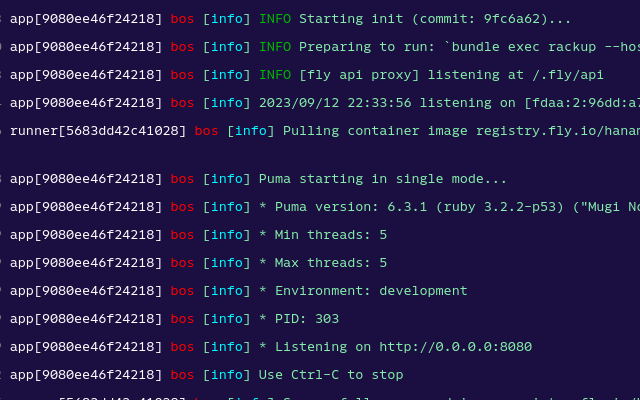 log file from fly.io showing Puma server running in development mode